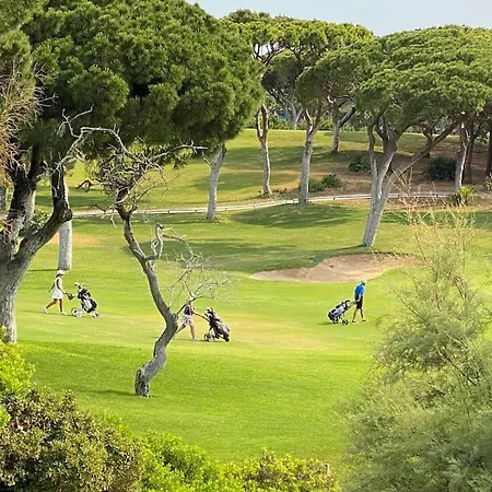 Sunny With Golf Front View